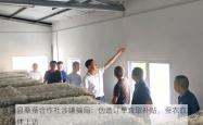夏津县桑蚕合作社涉嫌骗局：伪造订单套取补贴，蚕农血本无归集体 *** 